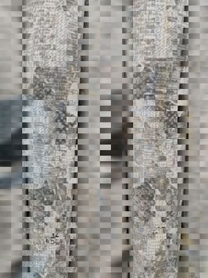 antik-lina-rulo-1652