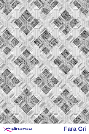 dinarsu-dinarsu-kaymaz-taban-fara-gri