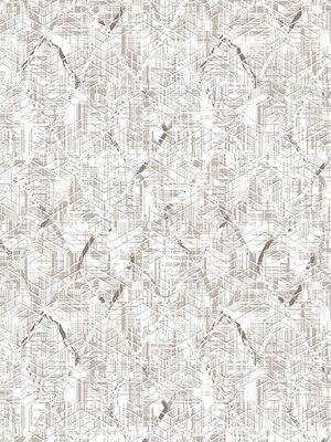 merinos-merinos-elegans-kaymaz-taban