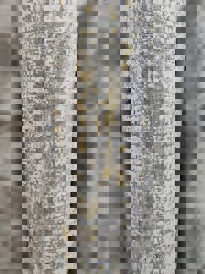 antik-lina-rulo-1651