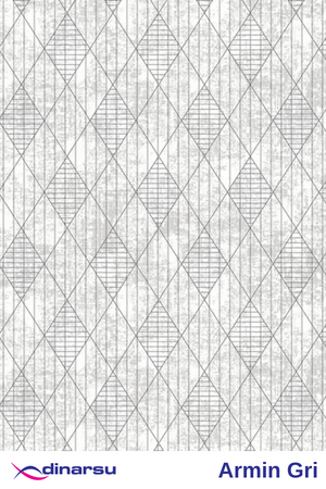 dinarsu-dinarsu-kaymaz-taban-armin-gri